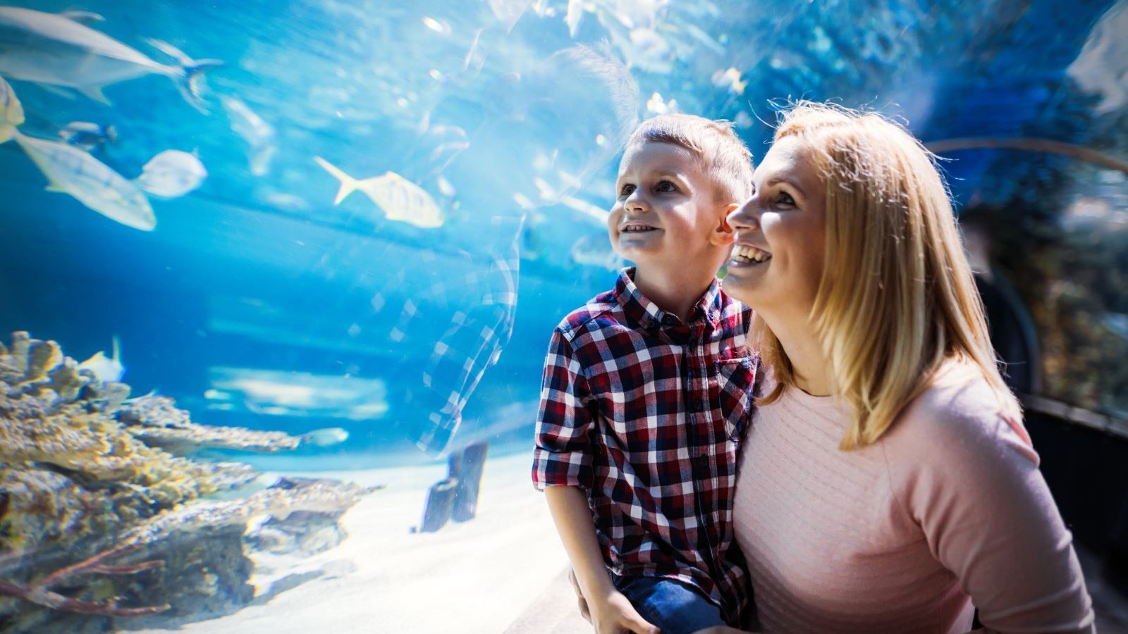 Family at MOTE Aquarium 