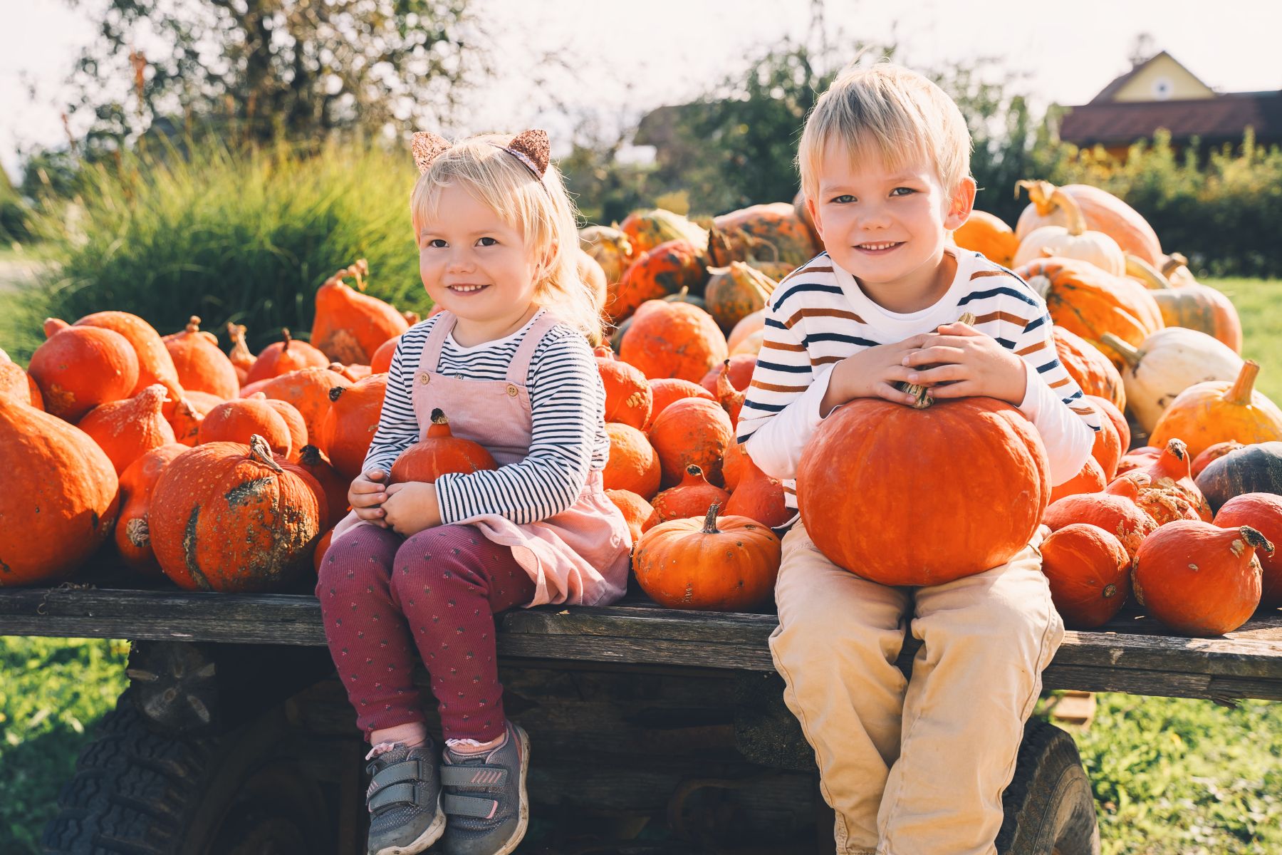 Young kids at a pumpkin patch